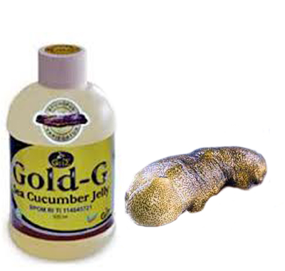 jelly-gamat-gold-sea-cucumber - Copy